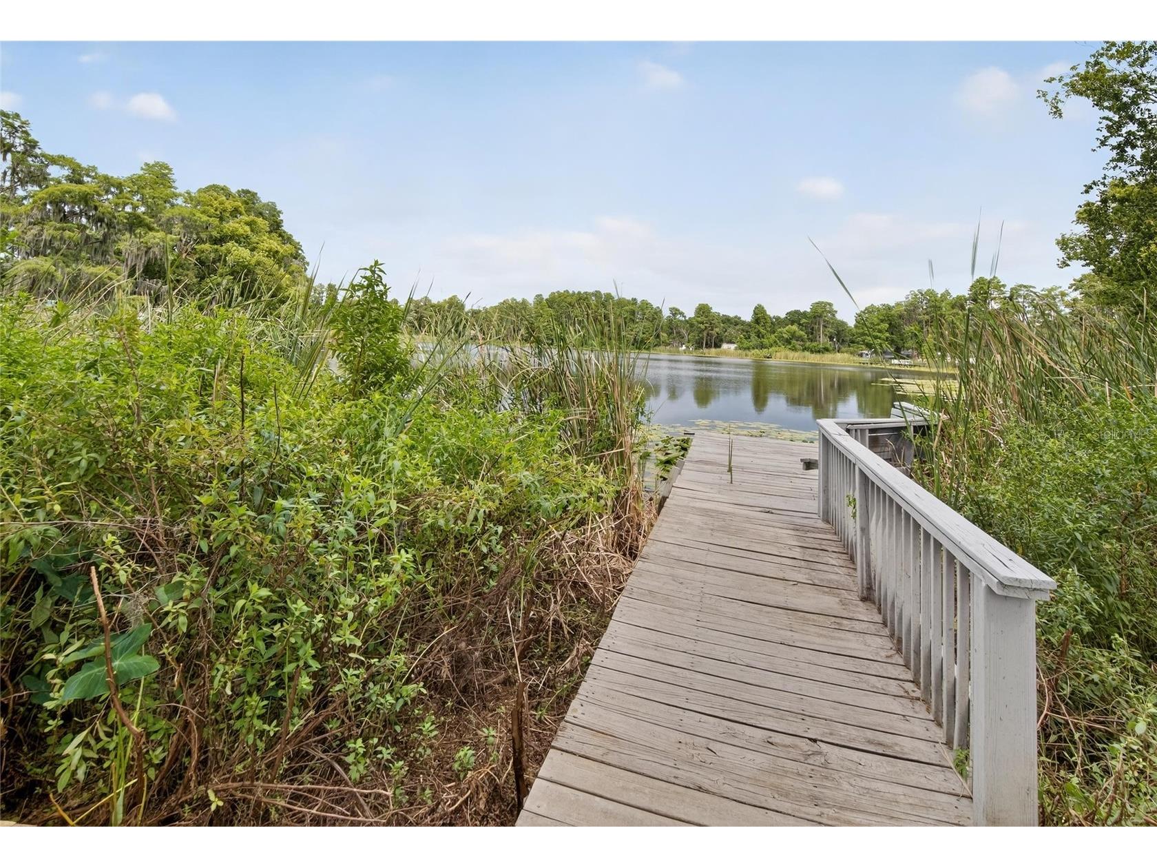 5028 School Road Land O Lakes FL 34638 TB8473255 image38