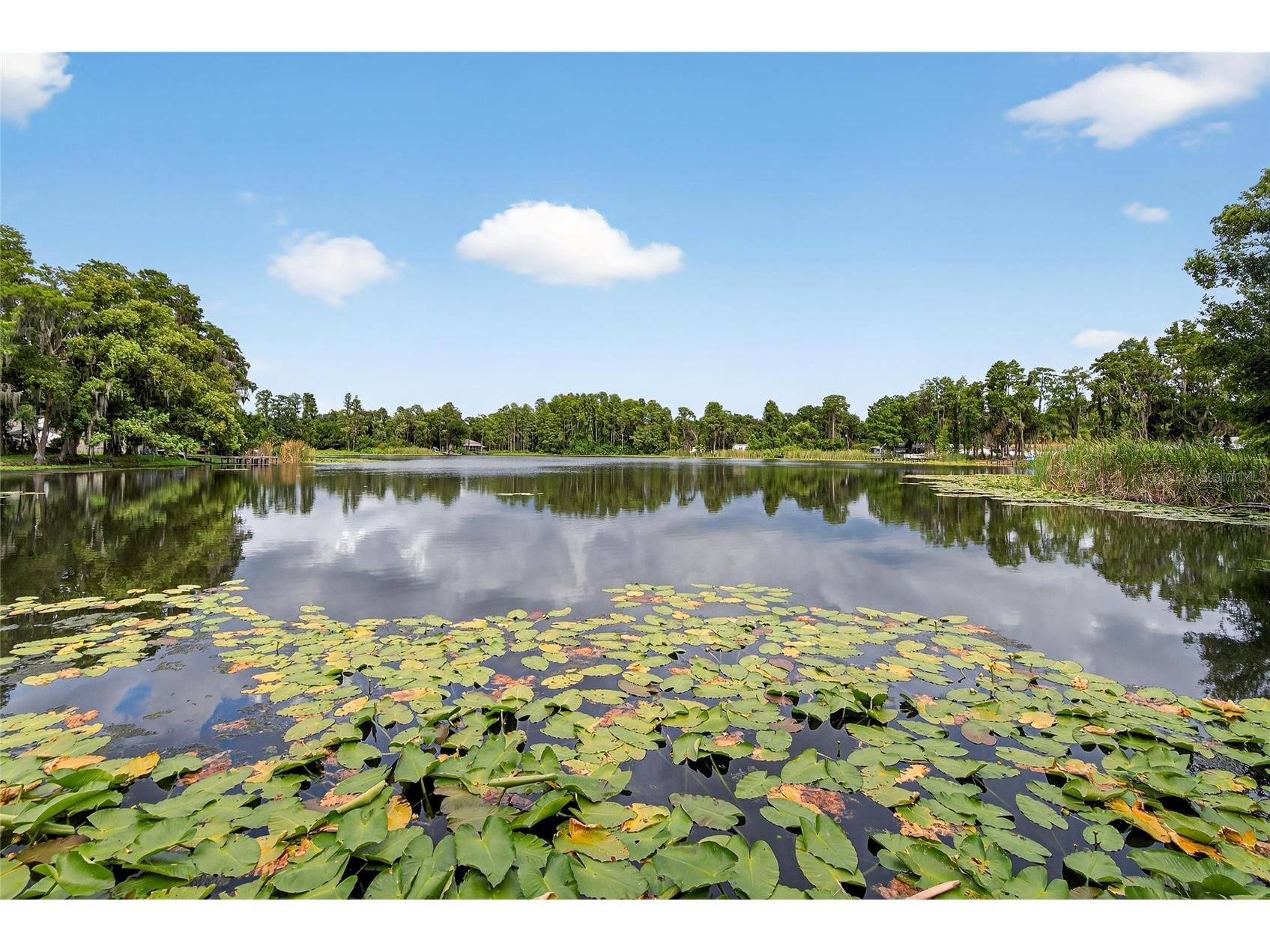 5028 School Road Land O Lakes FL 34638 TB8473255 image39