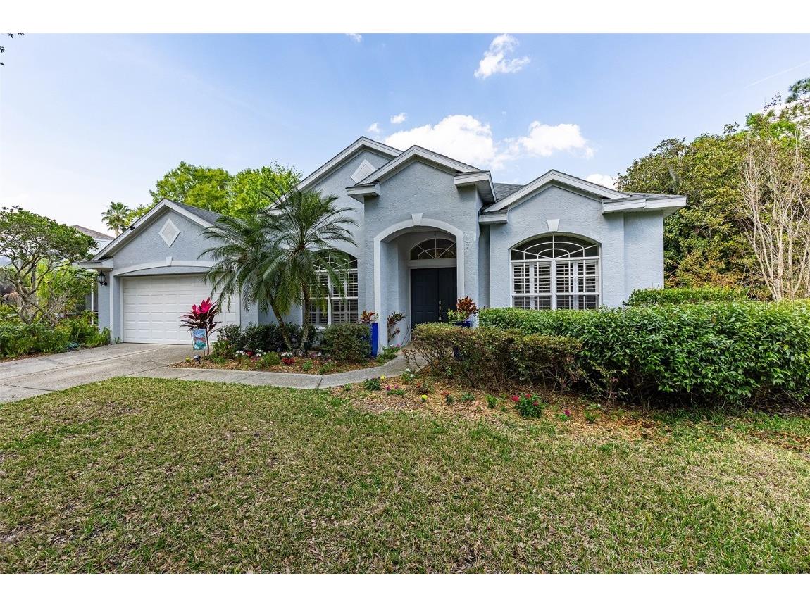 5028 Southampton Circle Tampa FL 33647 T3430967 image1