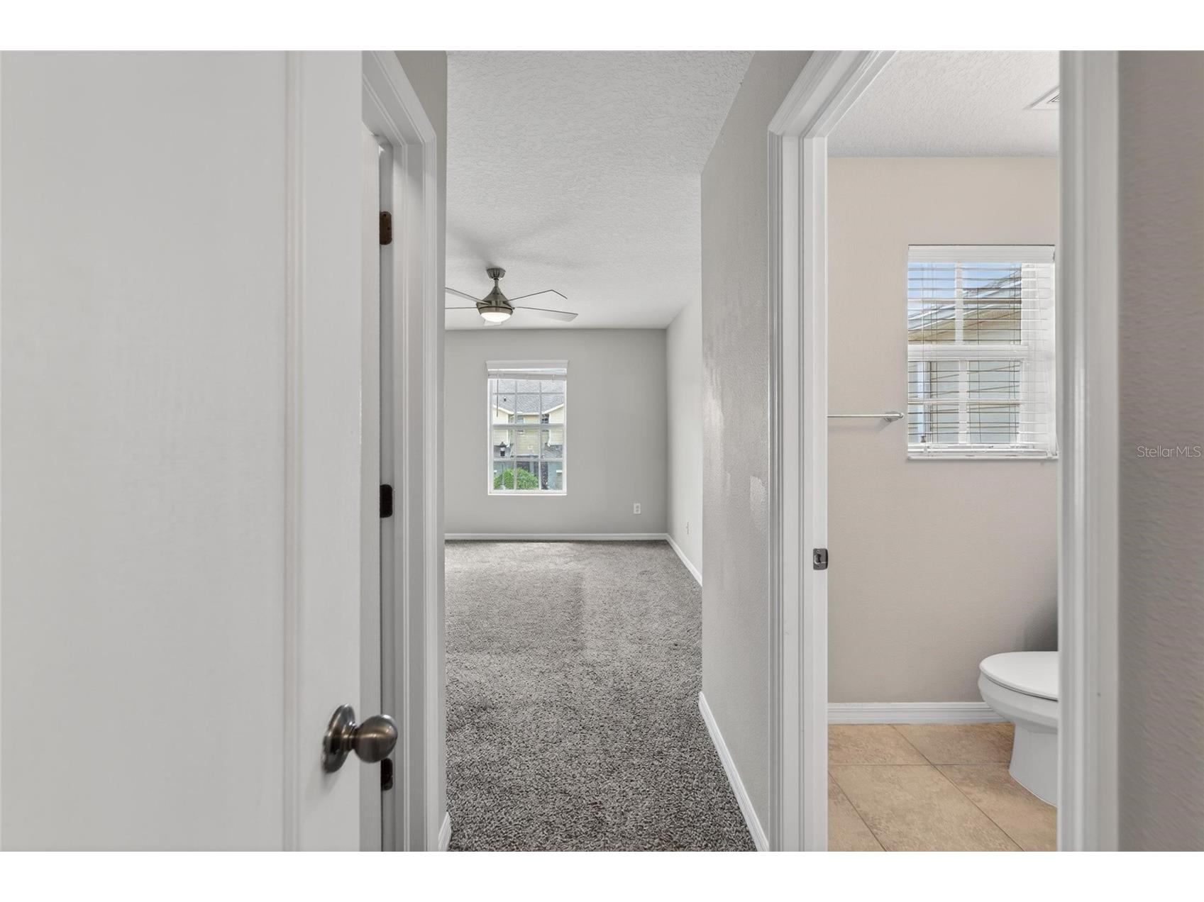 5028 White Sanderling Court Tampa FL 33619 TB8517518 image33