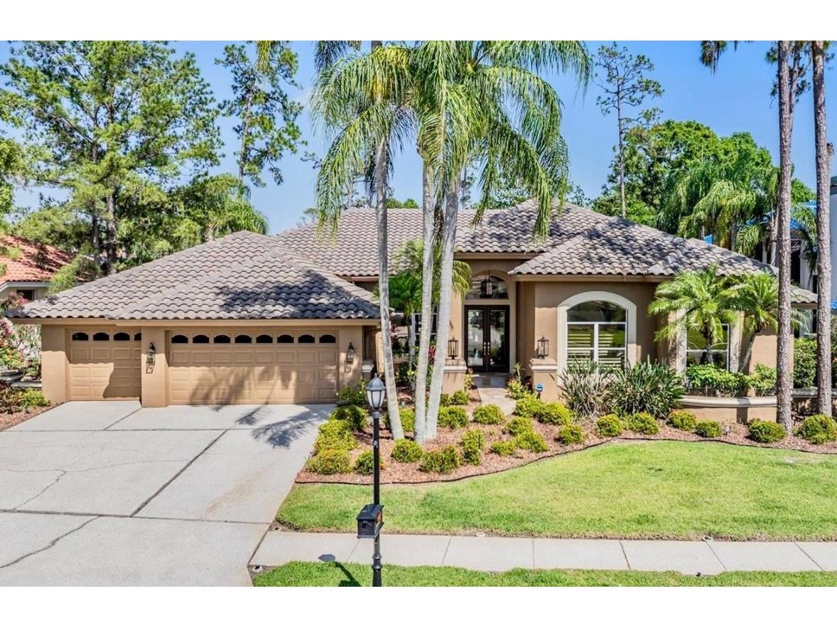 5029 Camberley Lane Oldsmar FL 34677 TB8393060 image1