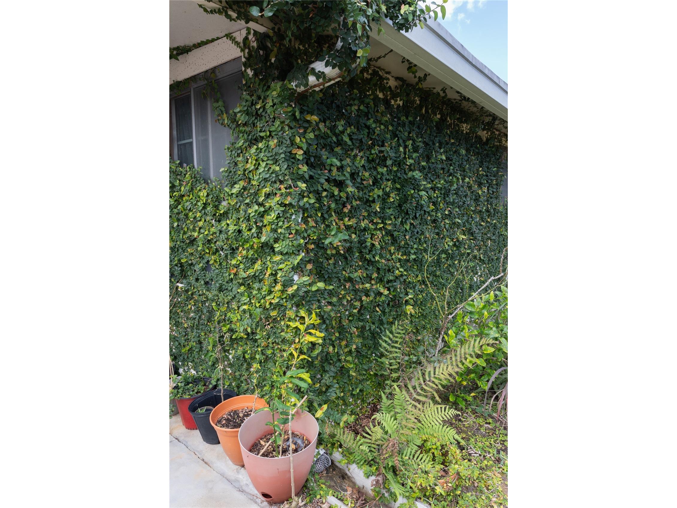 5029 Ledgewood Way Orlando FL 32821 O6375662 image23