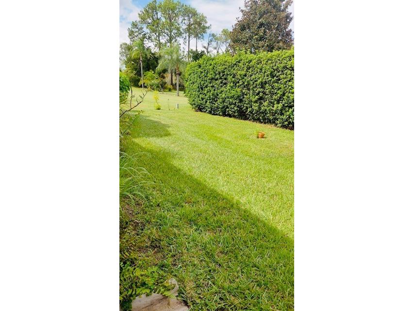 5029 Ledgewood Way Orlando FL 32821 O6375662 image24