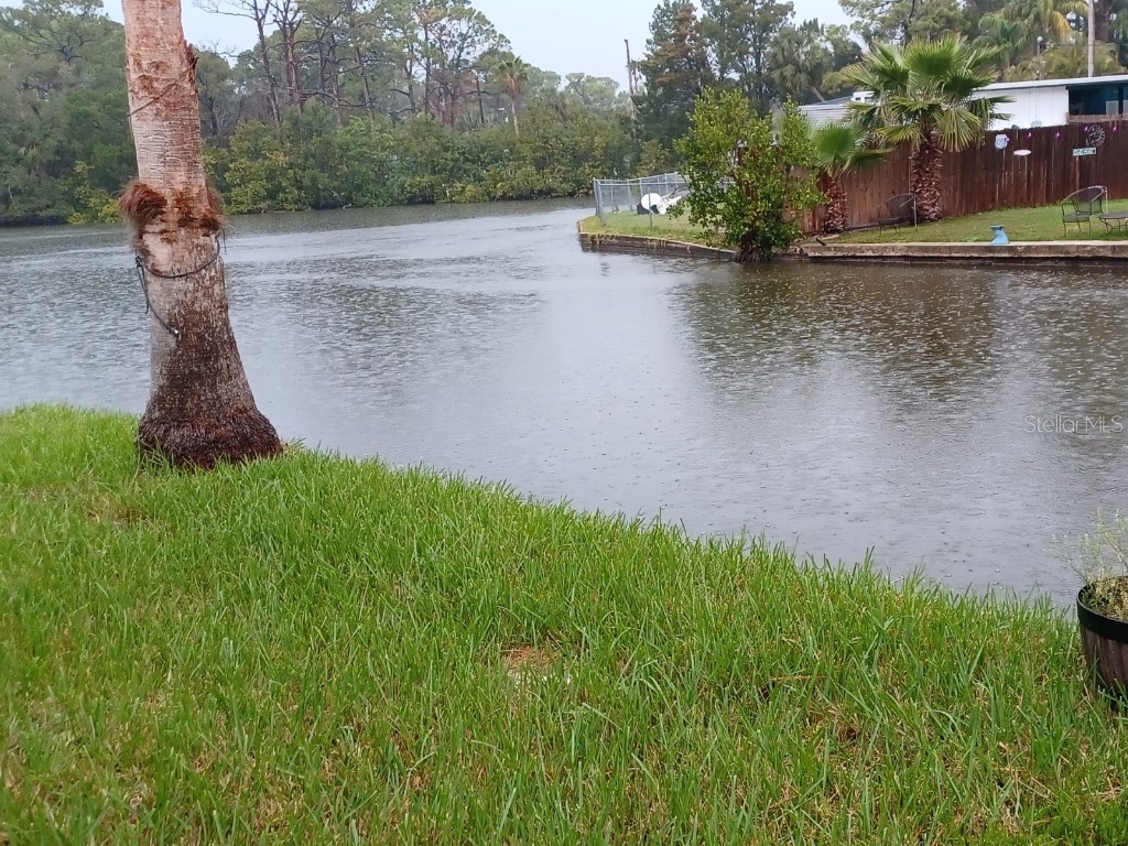 5029 Osprey Lane New Port Richey FL 34652 W7872818 image1