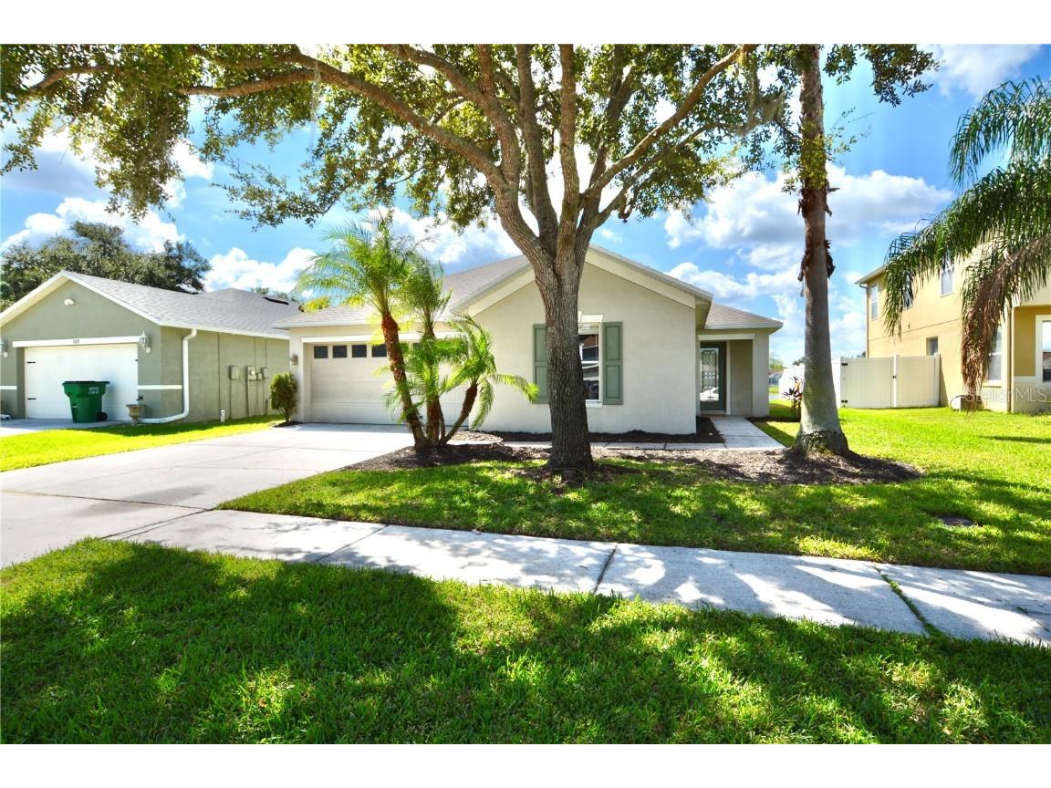 5029 Whistling Pines Court Wesley Chapel FL 33545 T3465735 image1