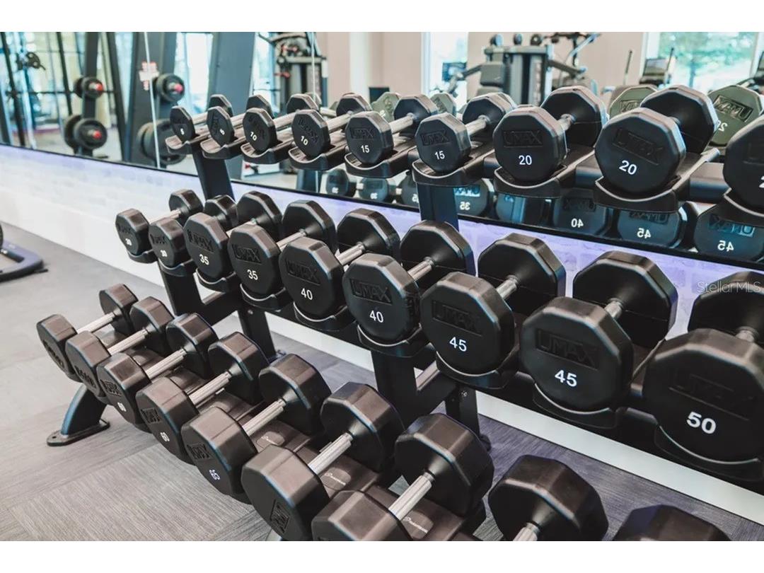 503-2 Chatham Avenue Orlando FL 32801 O6364230 image8