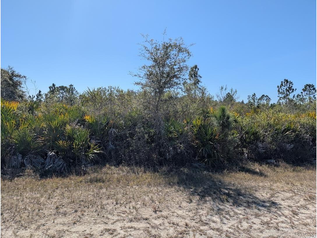 503 Alba Drive Indian Lake Estates FL 33855 - LAKE WALK-IN-WATER P4937442 image1