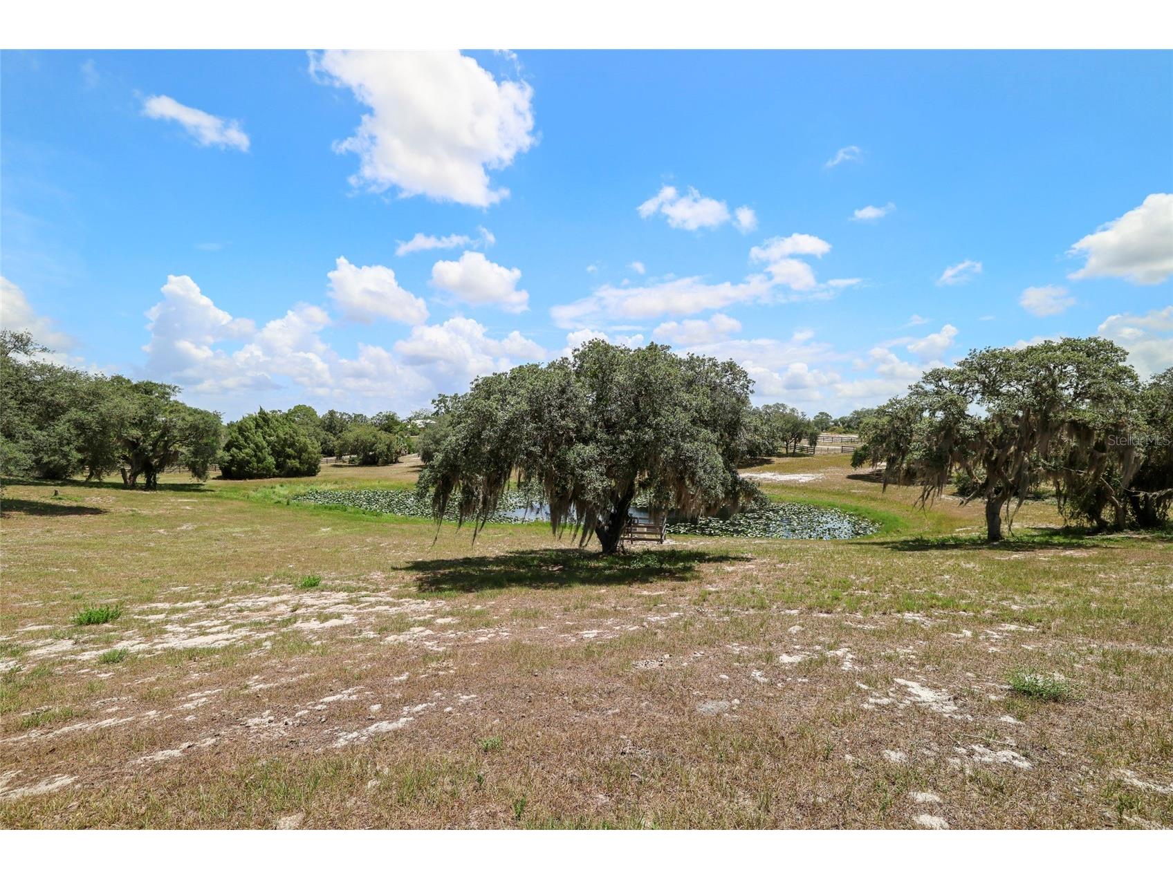503 Bear Road Road Lake Placid FL 33852 C7526938 image33