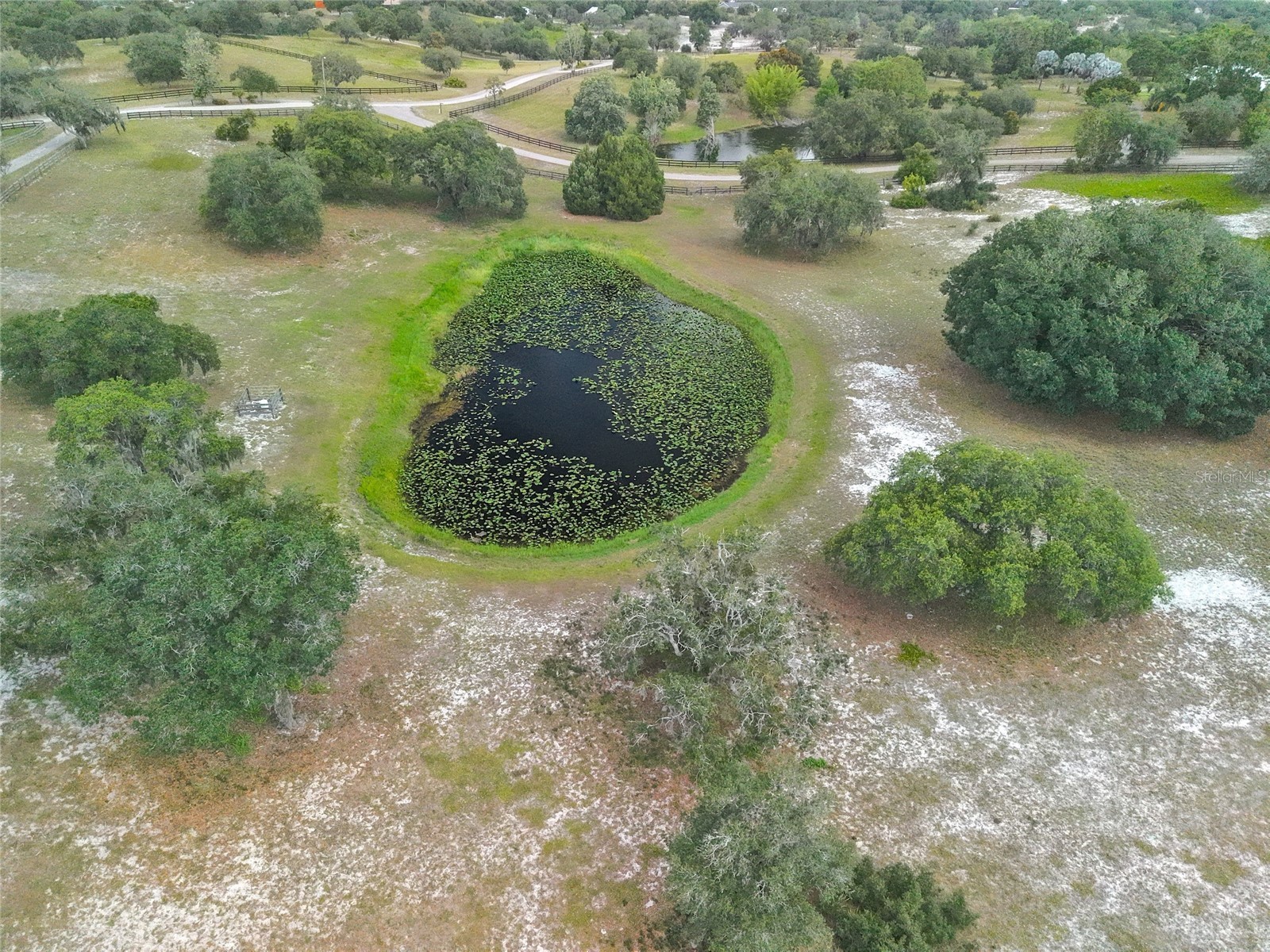 503 Bear Road Road Lake Placid FL 33852 C7526938 image42