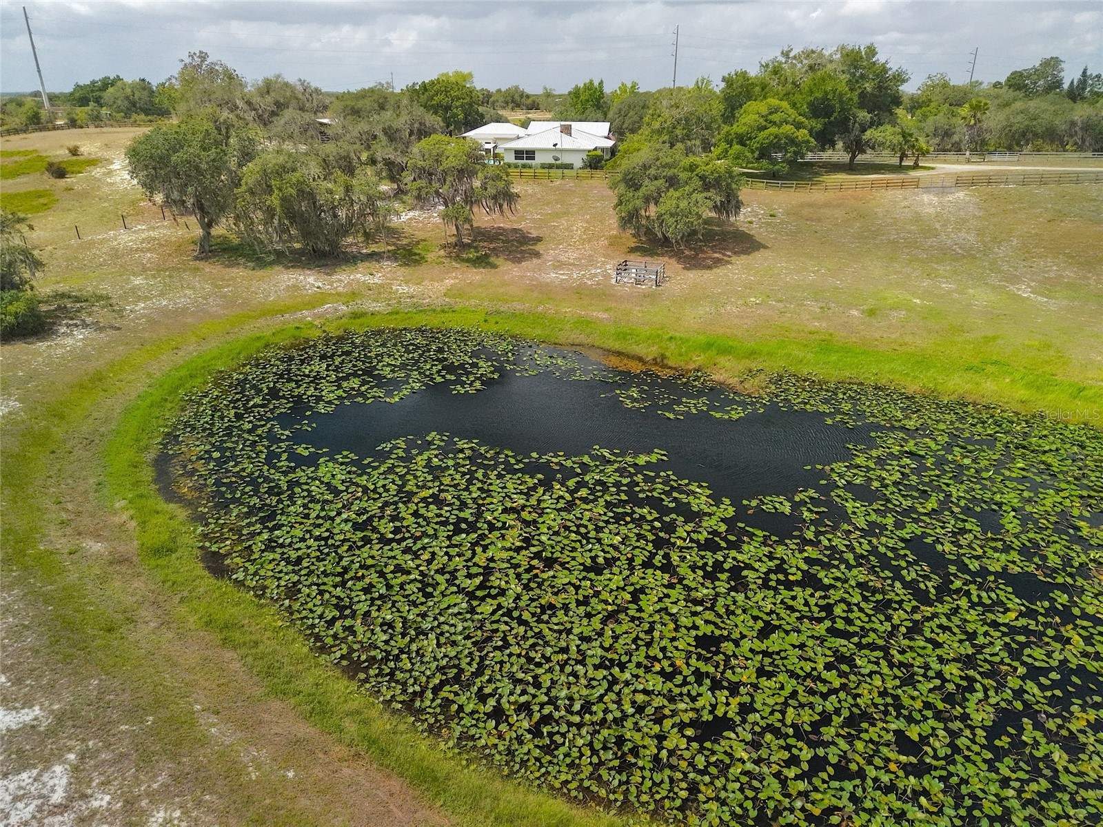 503 Bear Road Road Lake Placid FL 33852 C7526938 image43