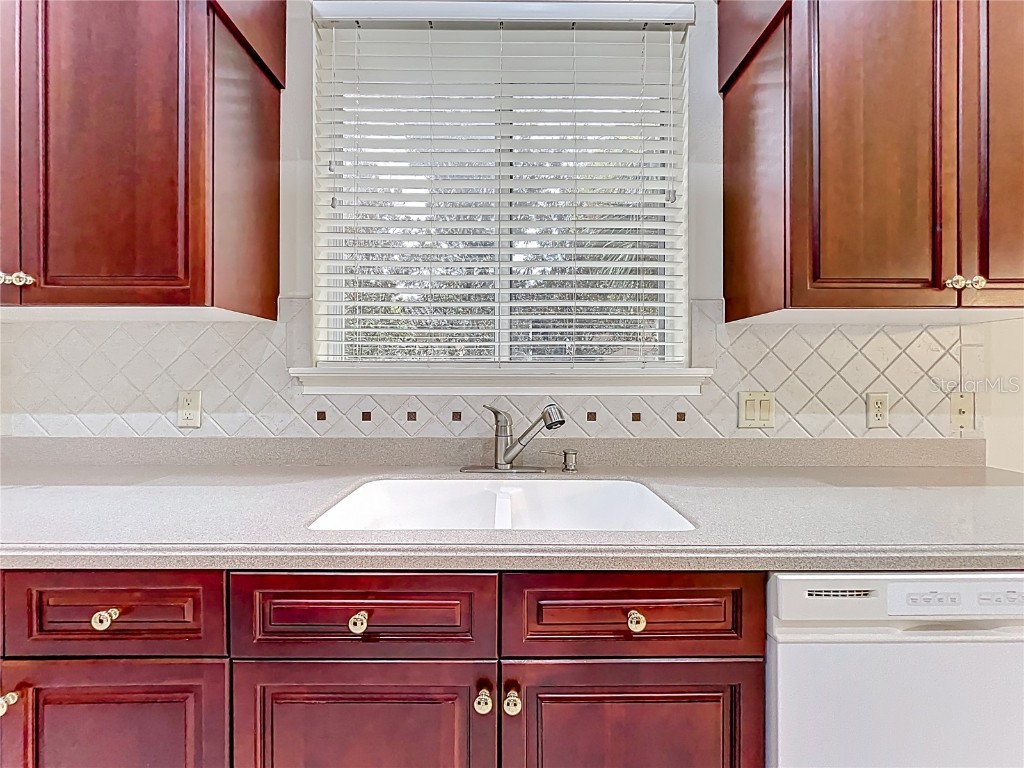 503 Camino Real Boulevard #503 Howey In The Hills FL 34737 V4944235 image20