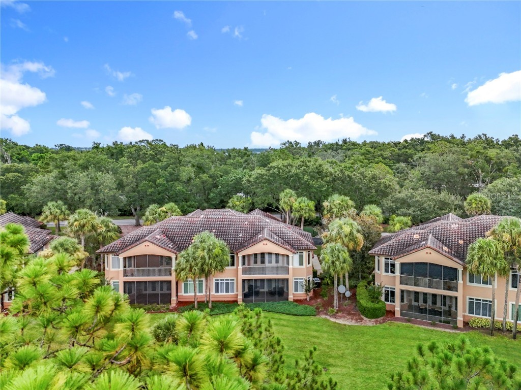 503 Camino Real Boulevard #503 Howey In The Hills FL 34737 V4944235 image51