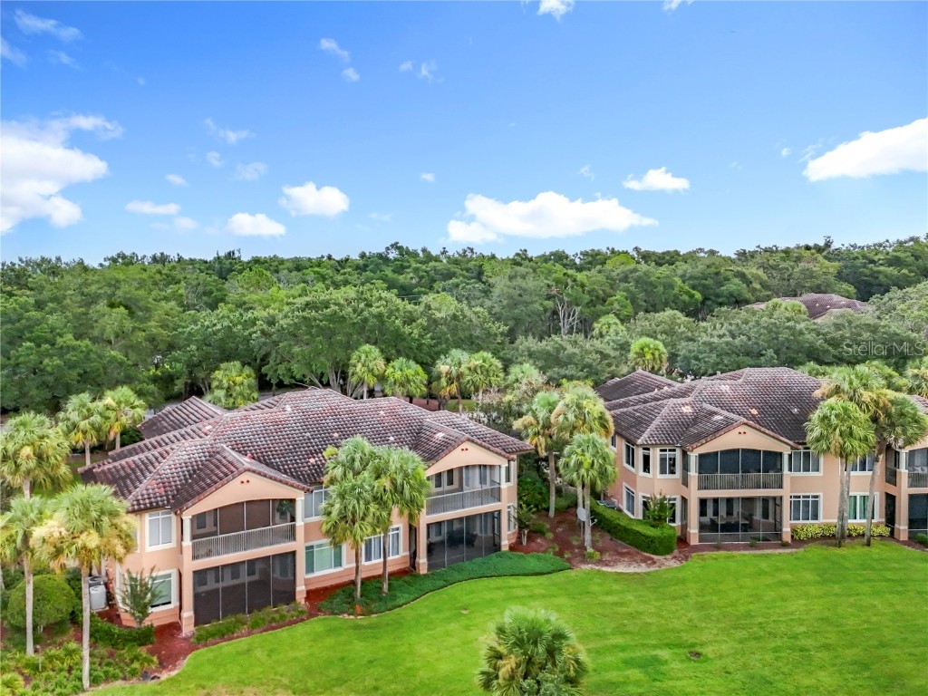 503 Camino Real Boulevard #503 Howey In The Hills FL 34737 V4944235 image52