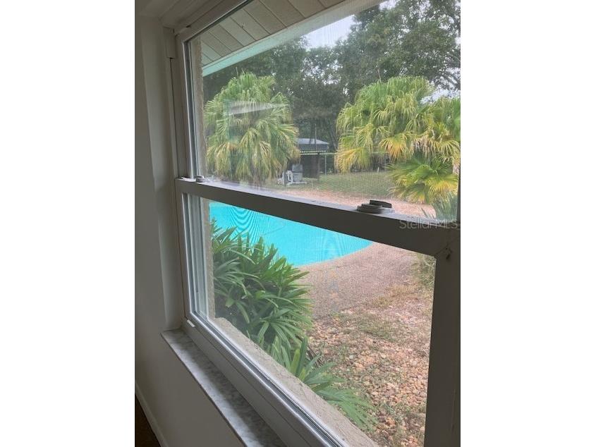 503 Chancellar Drive Lutz FL 33548 TB8515222 image18