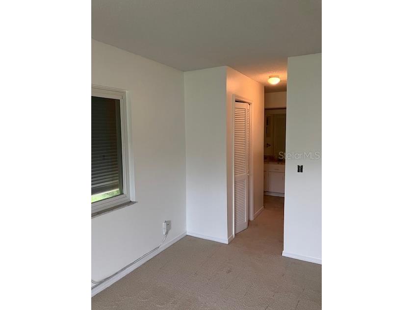 503 Chancellar Drive Lutz FL 33548 TB8515222 image19