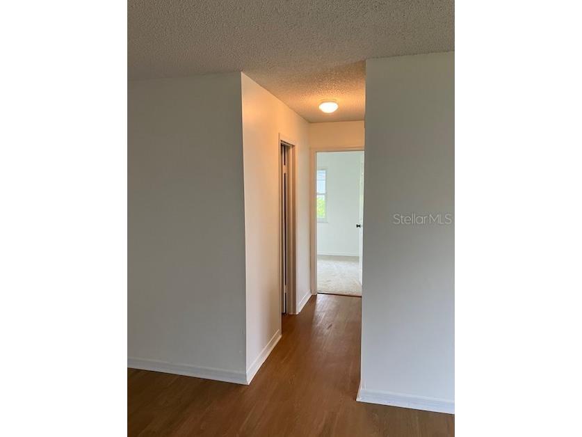 503 Chancellar Drive Lutz FL 33548 TB8515222 image21
