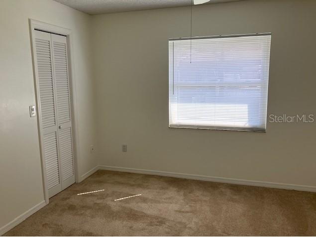 503 Chancellar Drive Lutz FL 33548 TB8515222 image22