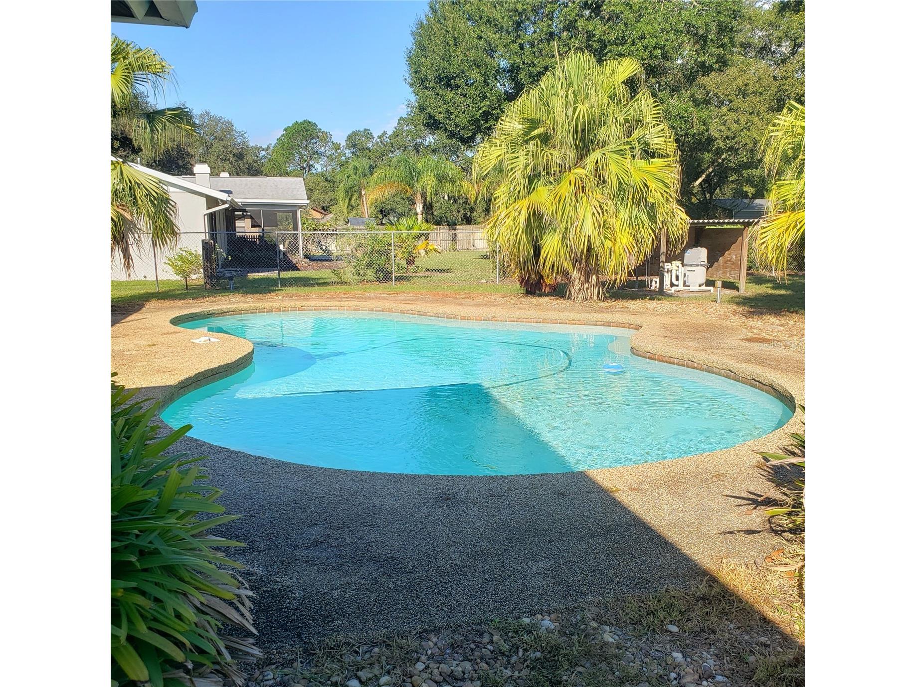 503 Chancellar Drive Lutz FL 33548 TB8515222 image8