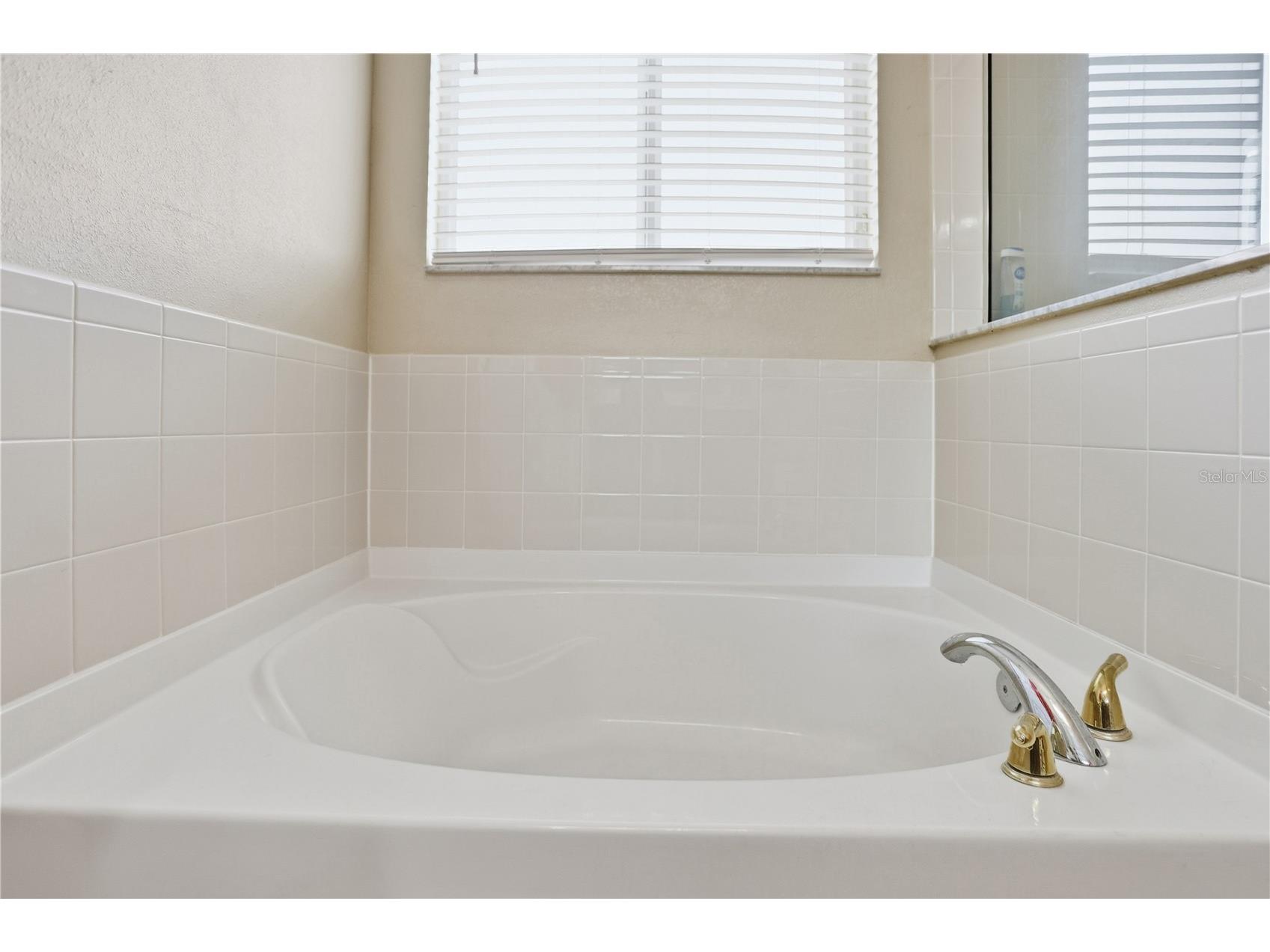 503 First Cape Coral Drive Winter Garden FL 34787 - BLACK LAKE & JOHN'S LAKE O6381166 image15