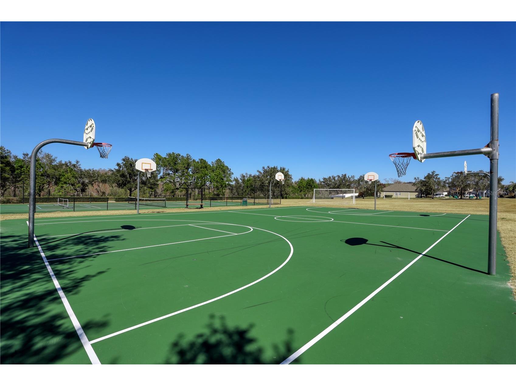 503 First Cape Coral Drive Winter Garden FL 34787 - BLACK LAKE & JOHN'S LAKE O6381166 image26