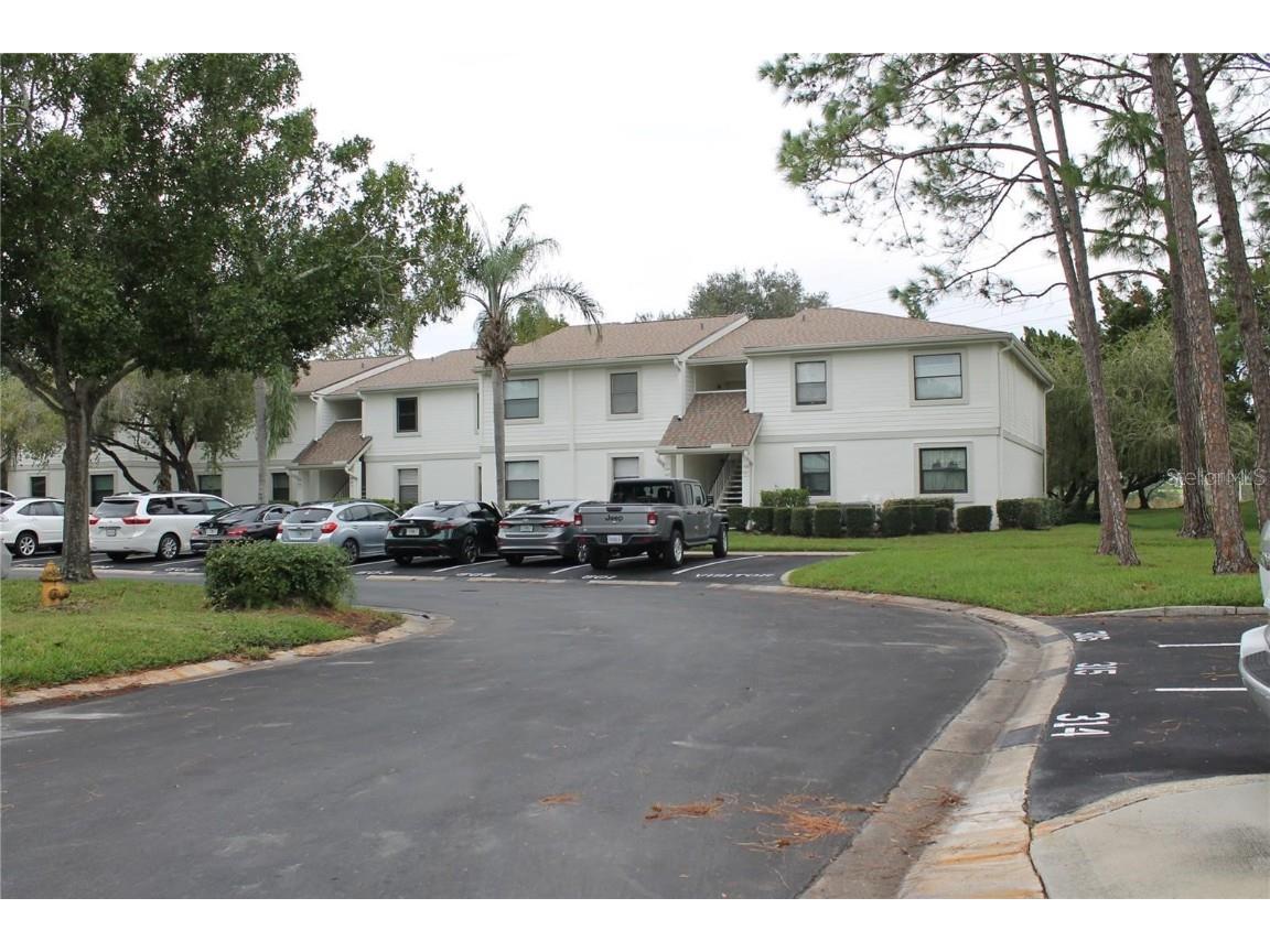 503 Meadow Lane #503 Oldsmar FL 34677 U8219260 image1