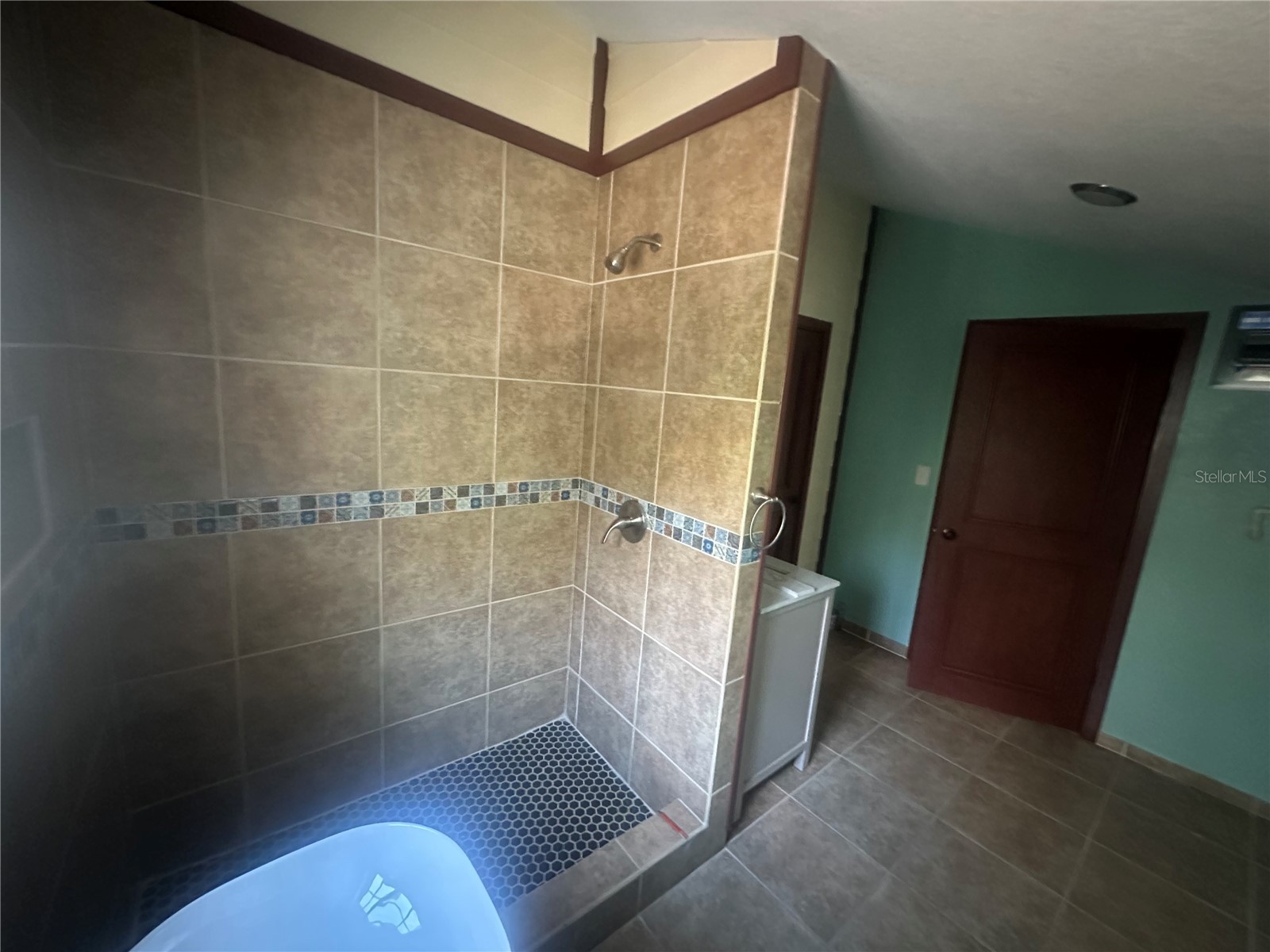 503 N Polk Avenue Arcadia FL 34266 C7523037 image29