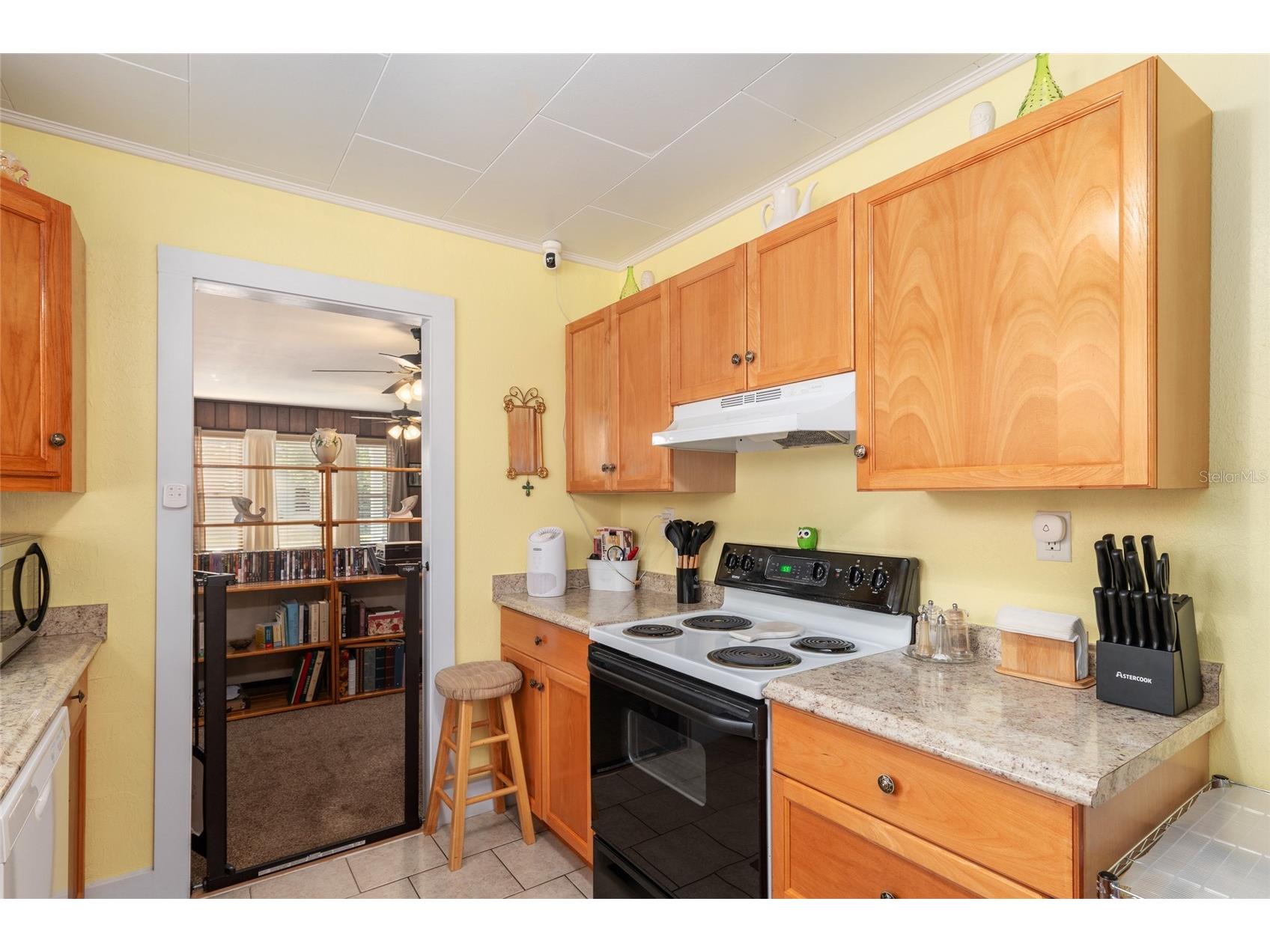 503 NE 1st Street Chiefland FL 32626 OM723883 image15