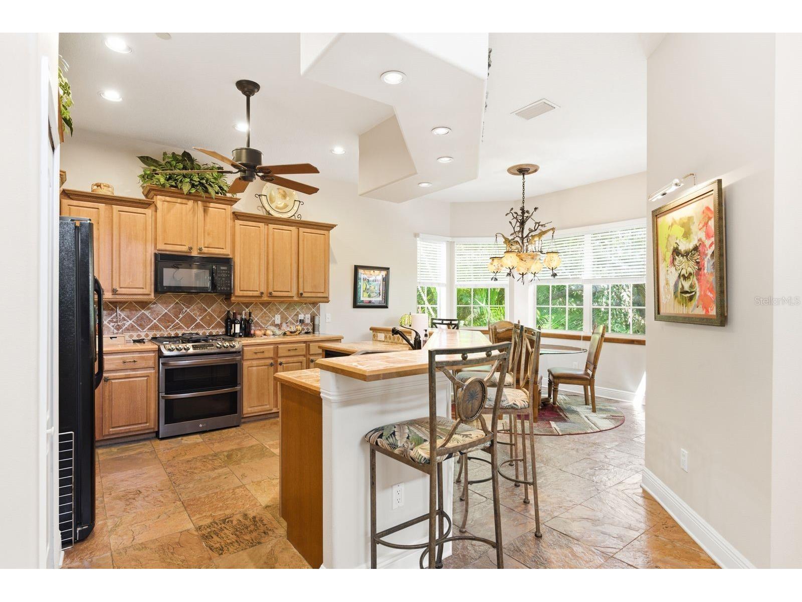 503 Palm Avenue Palm Harbor FL 34683 TB8508594 image19