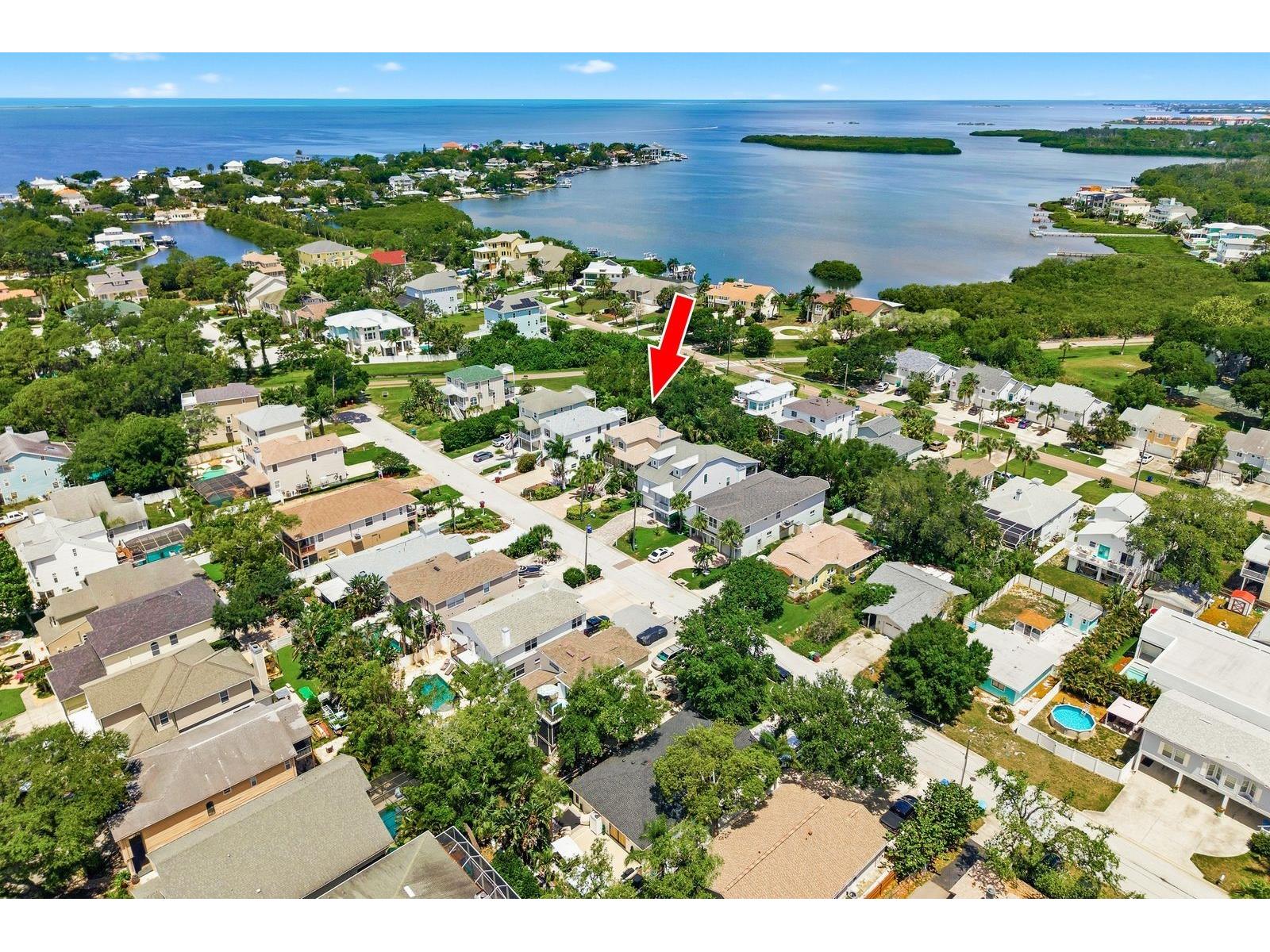 503 Palm Avenue Palm Harbor FL 34683 TB8508594 image2