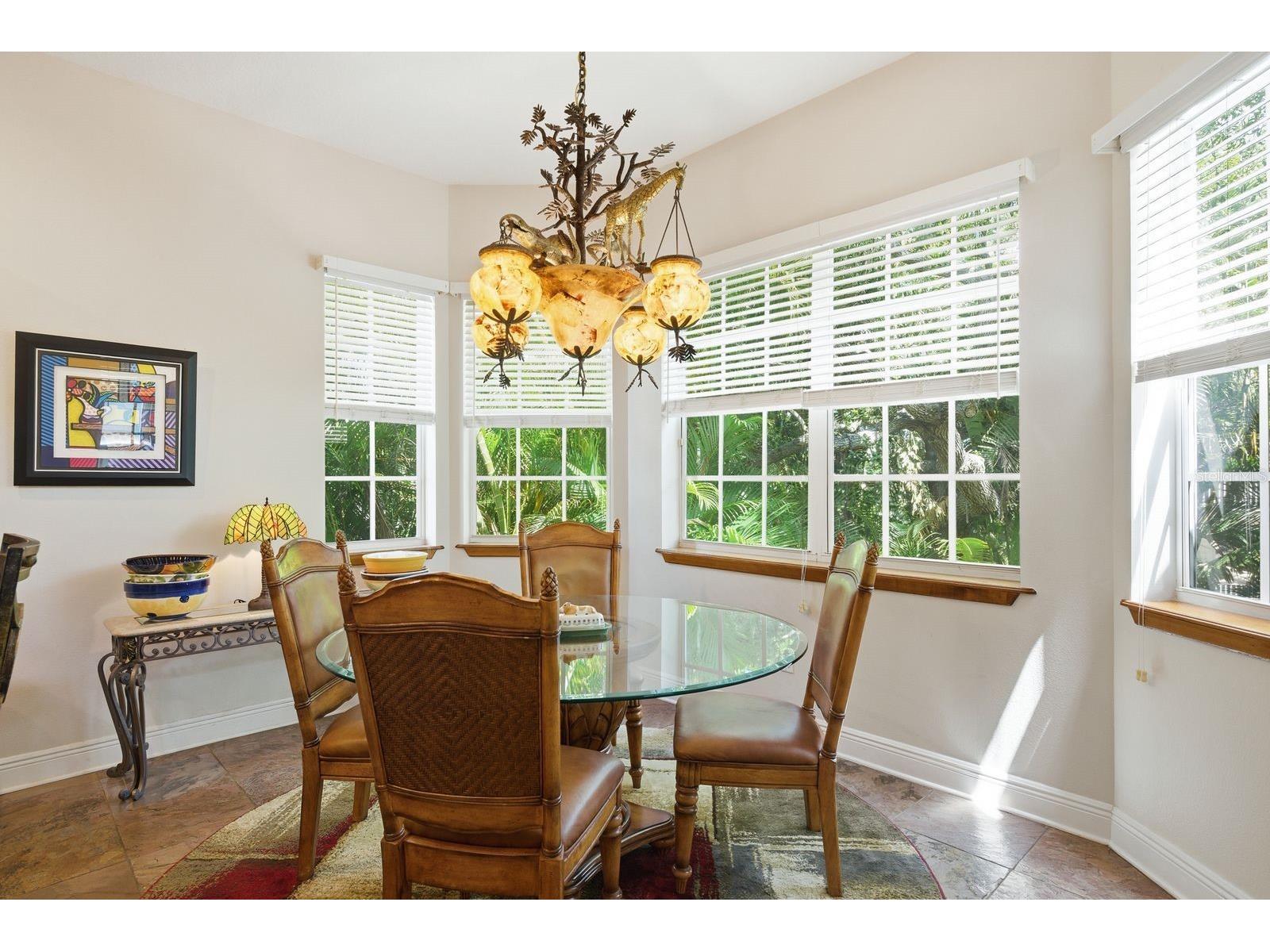 503 Palm Avenue Palm Harbor FL 34683 TB8508594 image23