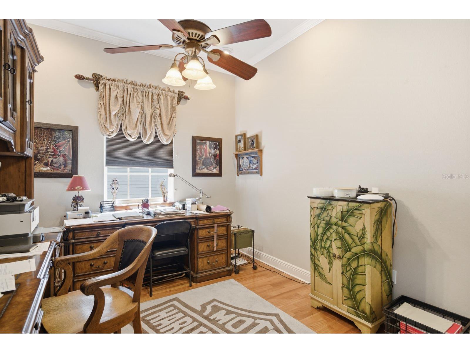 503 Palm Avenue Palm Harbor FL 34683 TB8508594 image25