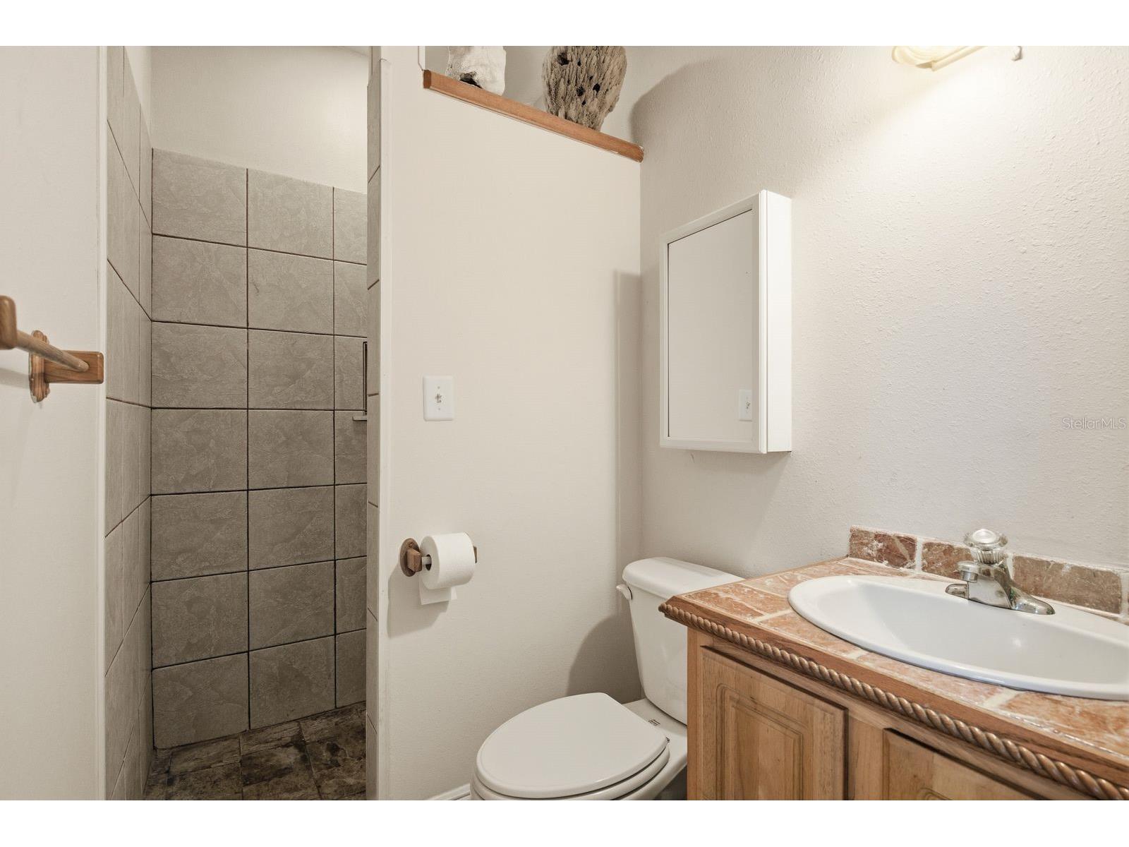503 Palm Avenue Palm Harbor FL 34683 TB8508594 image40