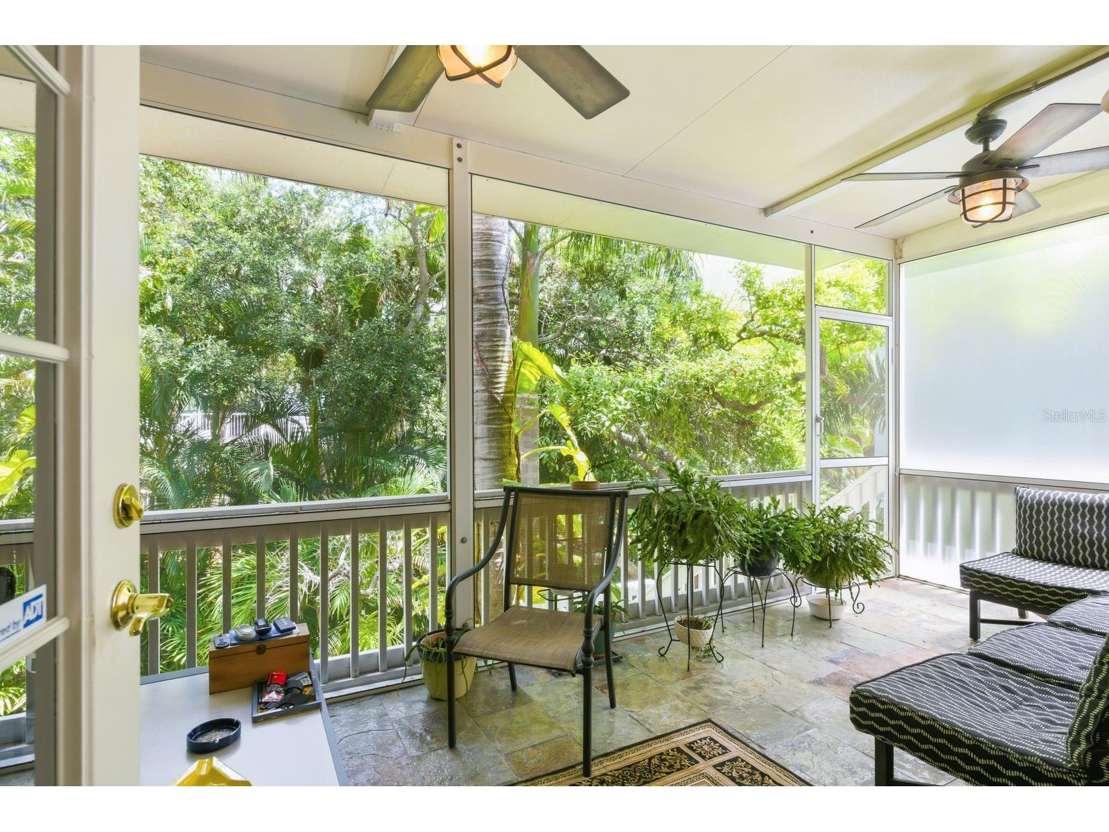 503 Palm Avenue Palm Harbor FL 34683 TB8508594 image41