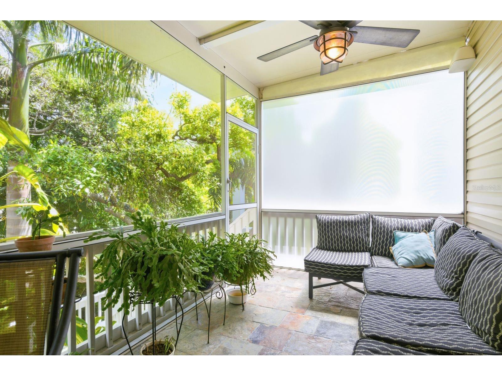 503 Palm Avenue Palm Harbor FL 34683 TB8508594 image42