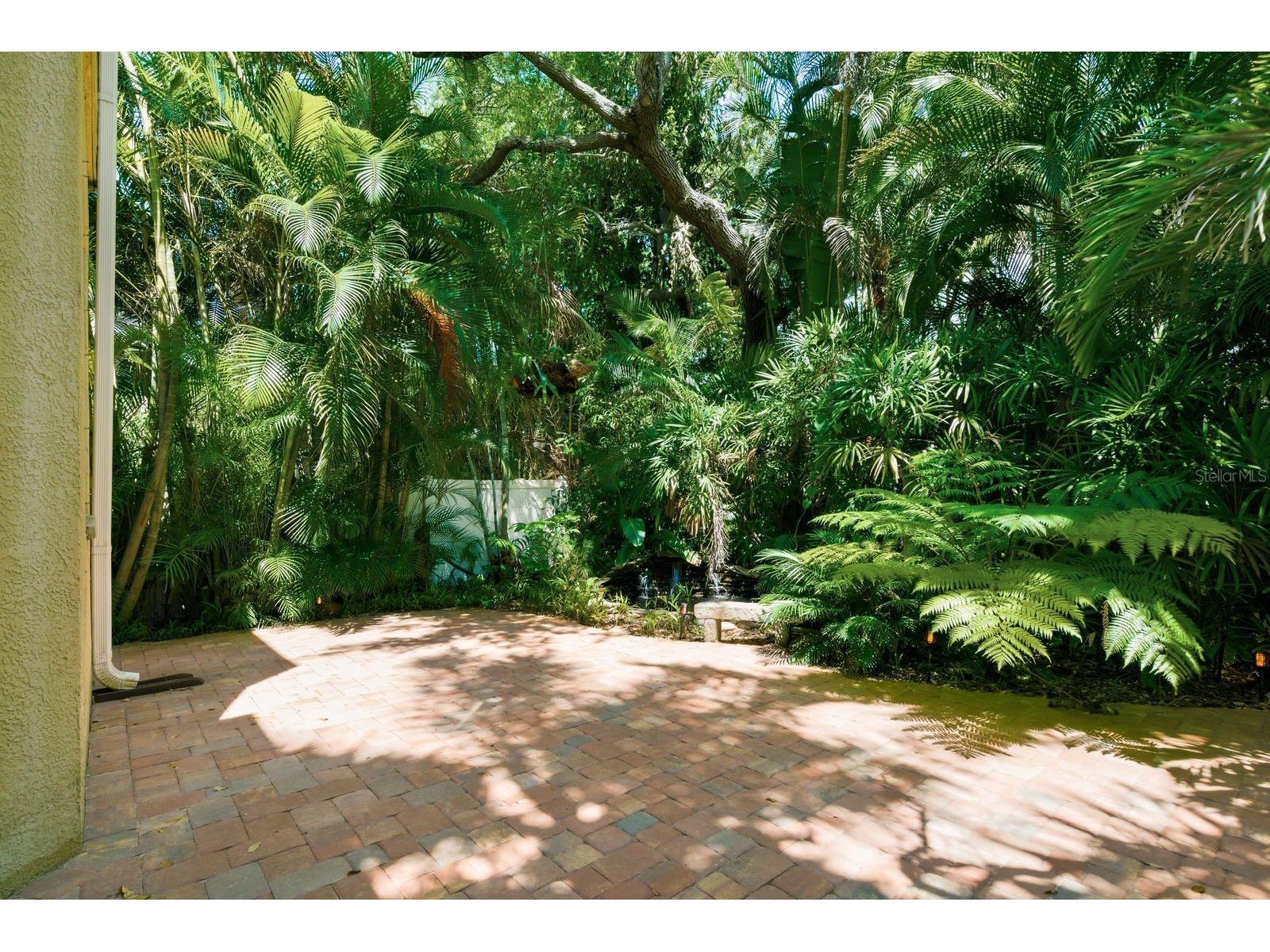 503 Palm Avenue Palm Harbor FL 34683 TB8508594 image47