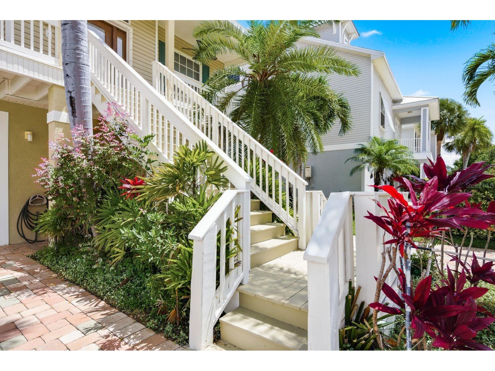 503 Palm Avenue Palm Harbor FL 34683 TB8508594 image5