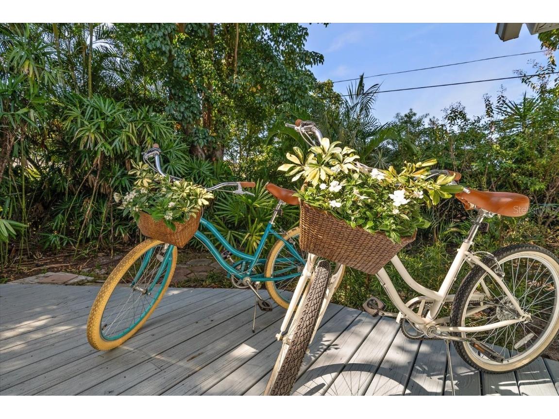 503 Poinsettia Road Belleair FL 33756 TB8441315 image43