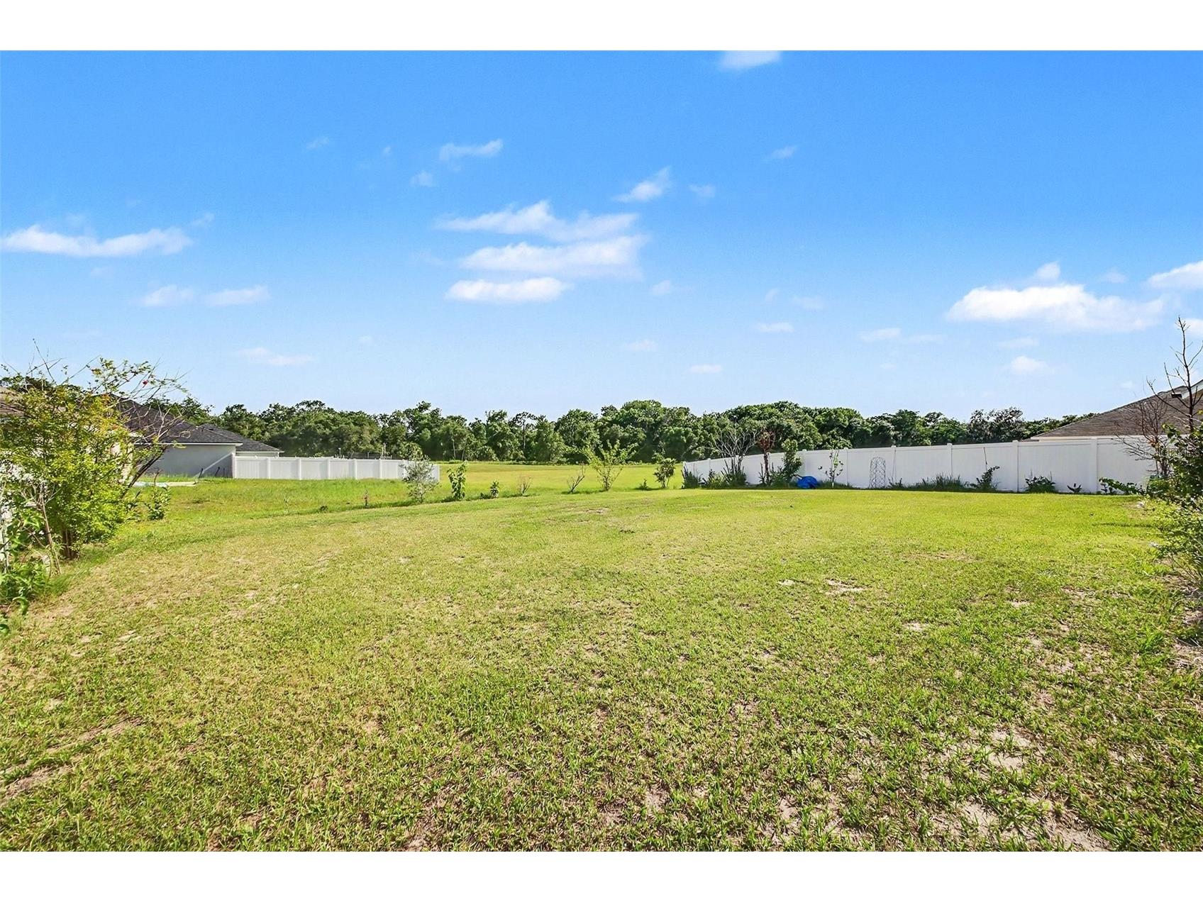 503 W Leah Court Fruitland Park FL 34731 O6415019 image38