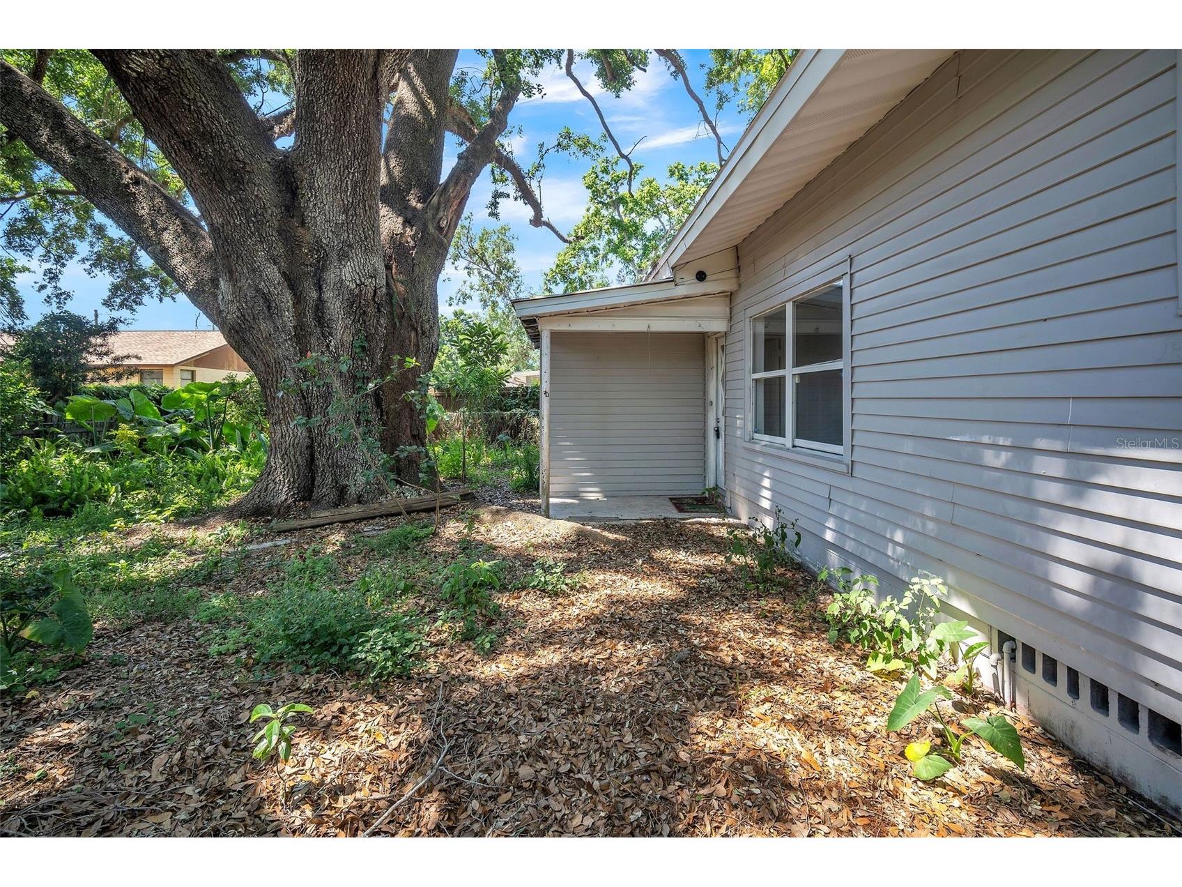 503 W Lee Street Plant City FL 33563 TB8481109 image28