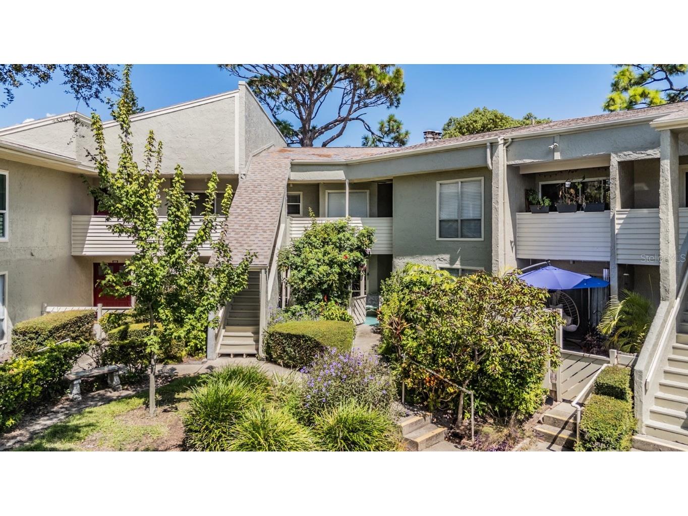 503 Windrush Bay Drive Tarpon Springs FL 34689 TB8431512 image1