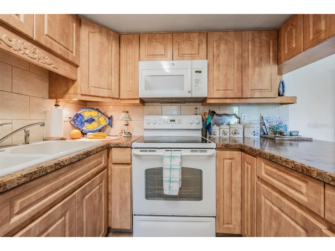 503 Windrush Bay Drive Tarpon Springs FL 34689 TB8431512 image11