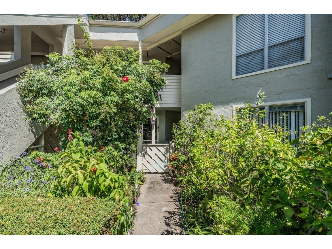 503 Windrush Bay Drive Tarpon Springs FL 34689 TB8431512 image32