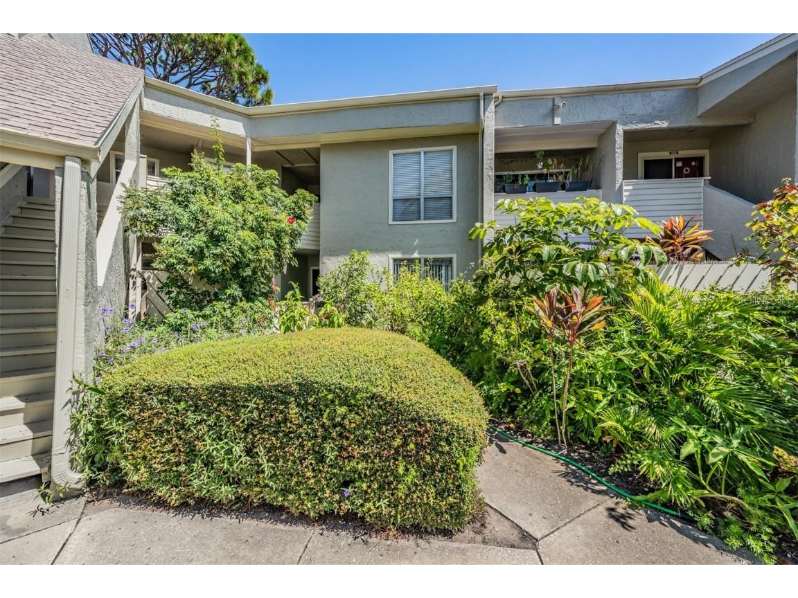 503 Windrush Bay Drive Tarpon Springs FL 34689 TB8431512 image33