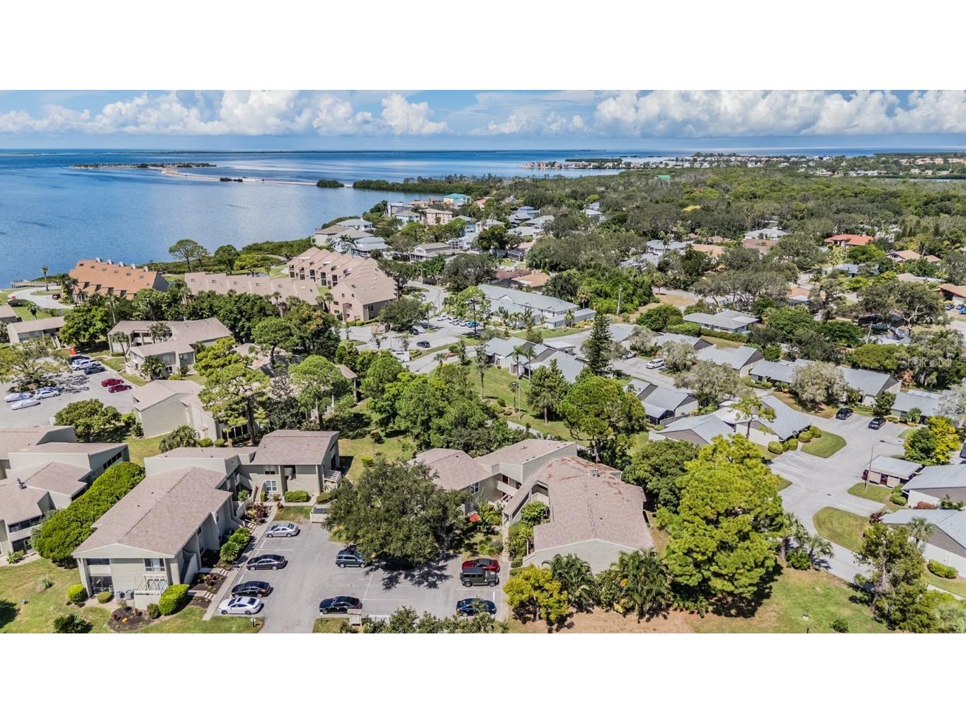 503 Windrush Bay Drive Tarpon Springs FL 34689 TB8431512 image36