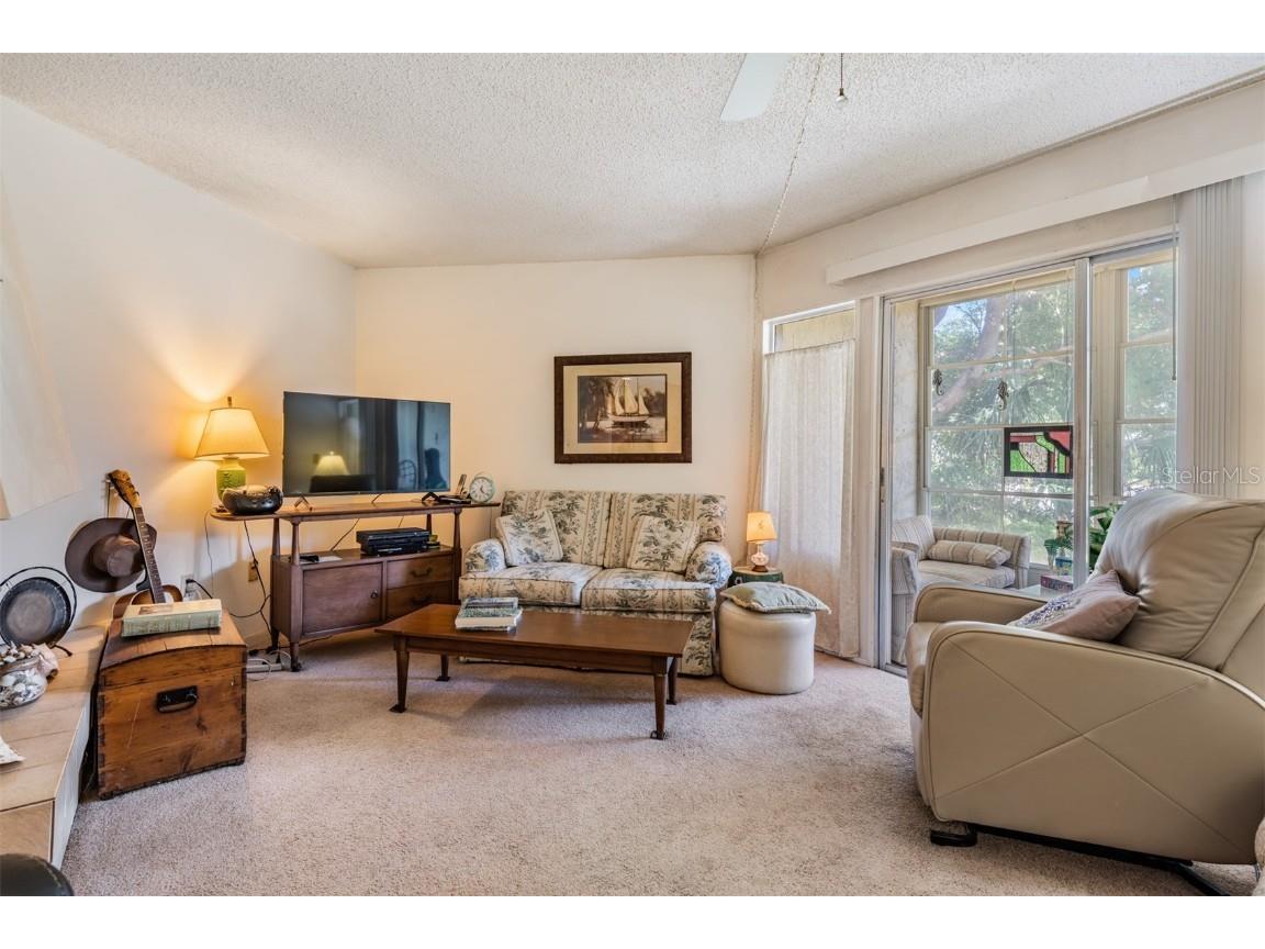 503 Windrush Bay Drive Tarpon Springs FL 34689 TB8431512 image6