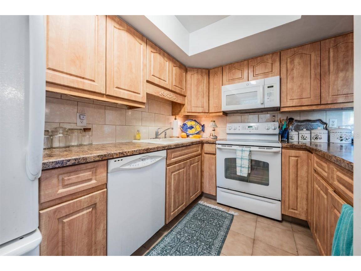 503 Windrush Bay Drive Tarpon Springs FL 34689 TB8431512 image8