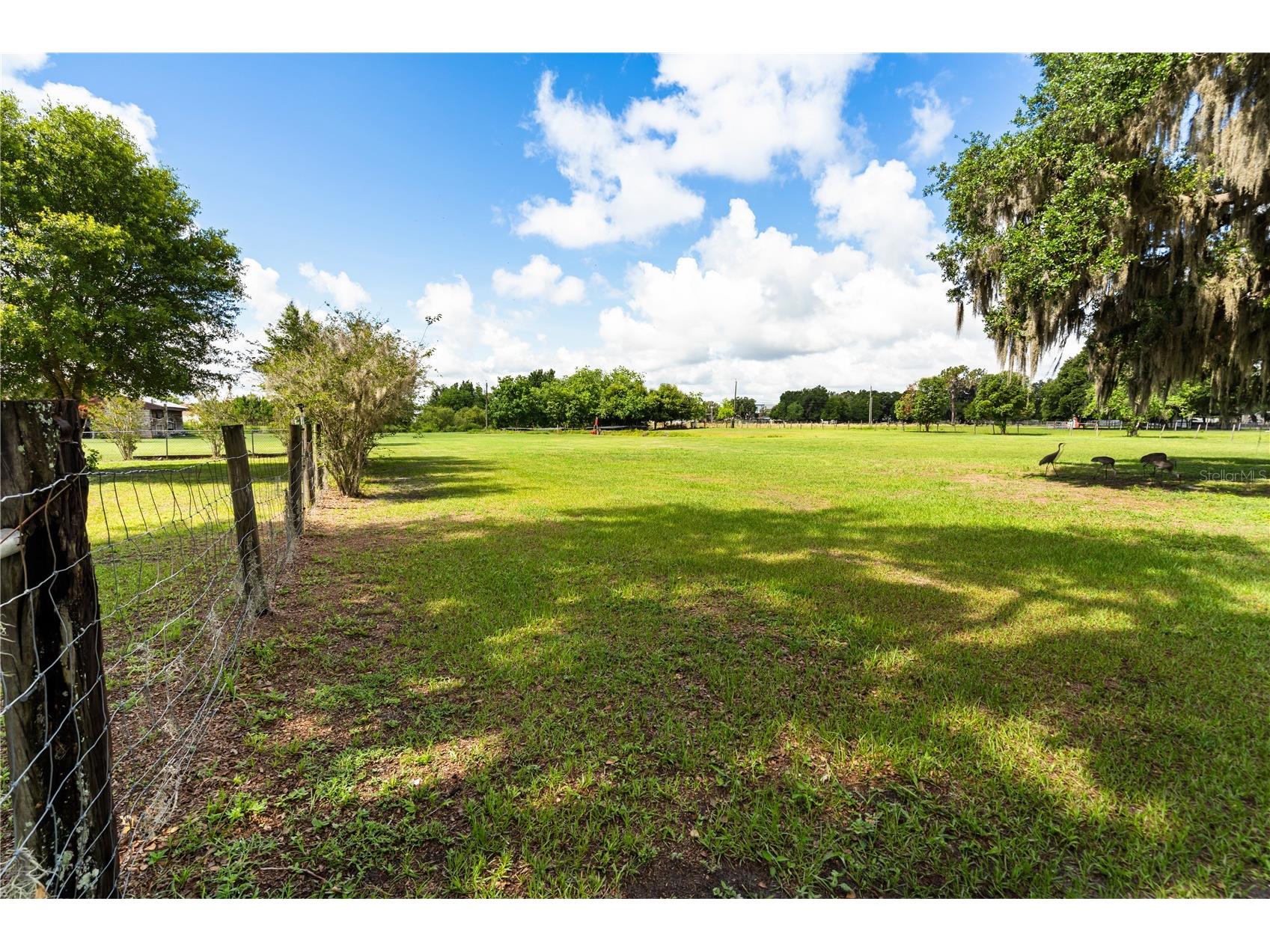 5030 Alderman Road Lakeland FL 33810 O6412799 image19