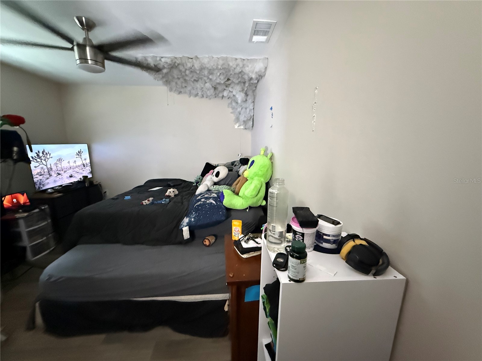 5030 Doefield Lane New Port Richey FL 34653 TB8508489 image28