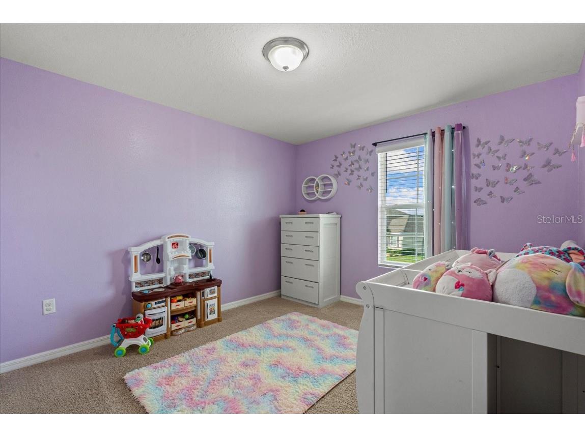 5030 Jackel Chase Drive Wimauma FL 33598 TB8426819 image35