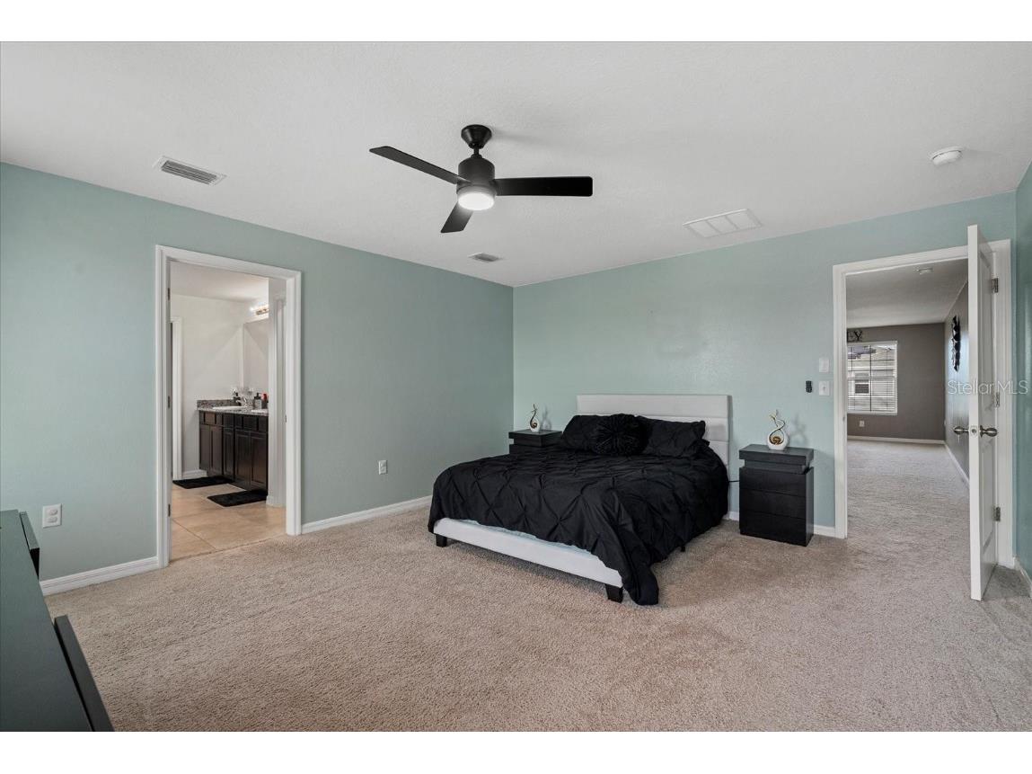 5030 Jackel Chase Drive Wimauma FL 33598 TB8426819 image41